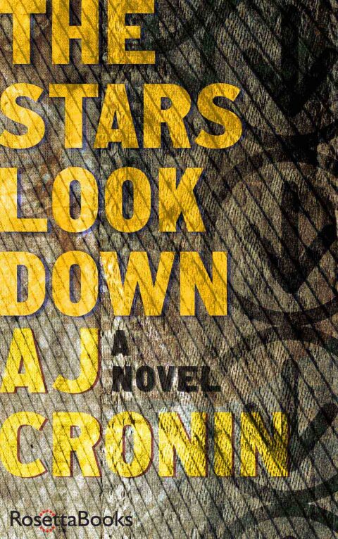 Cover image for book The Stars Look Down
