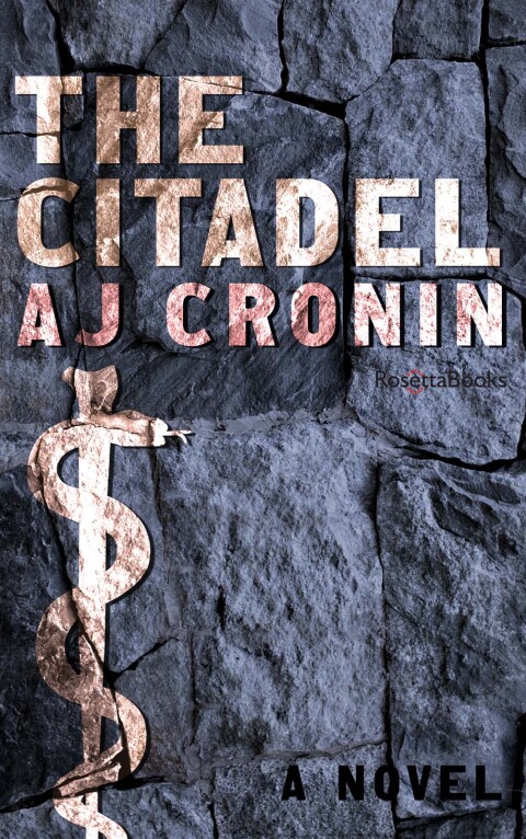 Cover image for book The Citadel