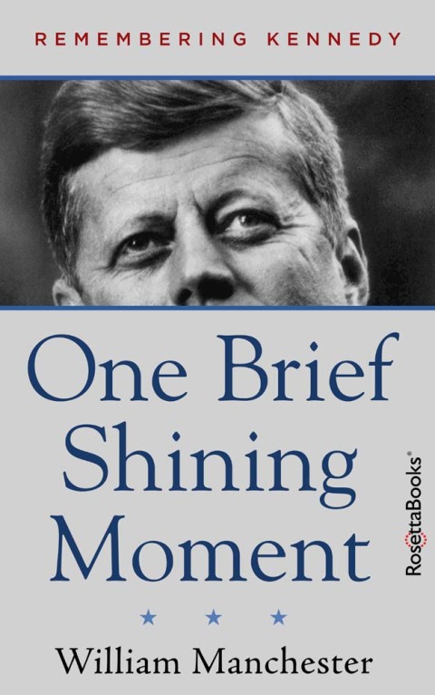 Cover image for book One Brief Shining Moment