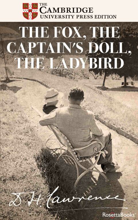 Cover image for book The Fox, The Captain's Doll, The Ladybird