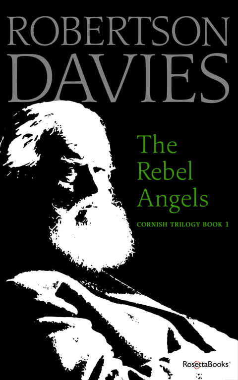 Cover image for book The Rebel Angels