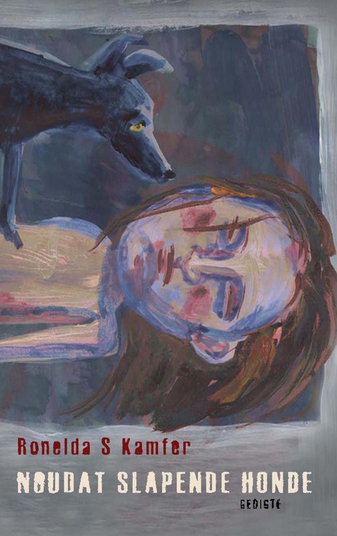 Cover image for book Noudat slapende  honde