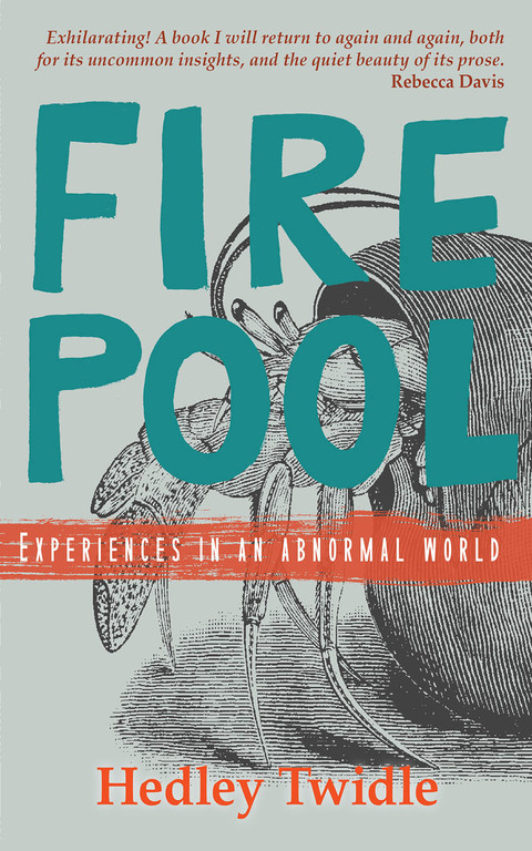 Cover image for book Firepool