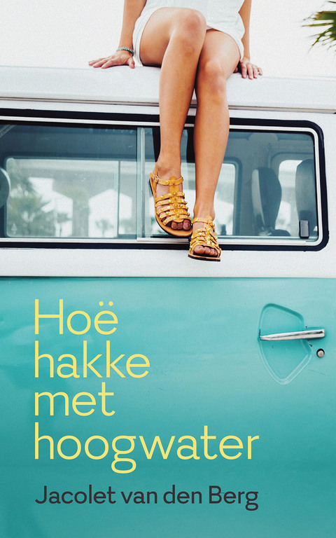 Cover image for book Hoë hakke met hoogwater