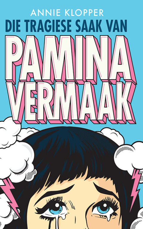 Cover image for book Die tragiese saak van Pamina Vermaak