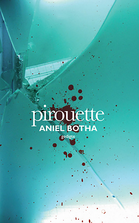 Cover image for book Pirouette