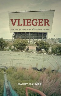 Imagen de portada: Vlieger 1st edition 9780795800429