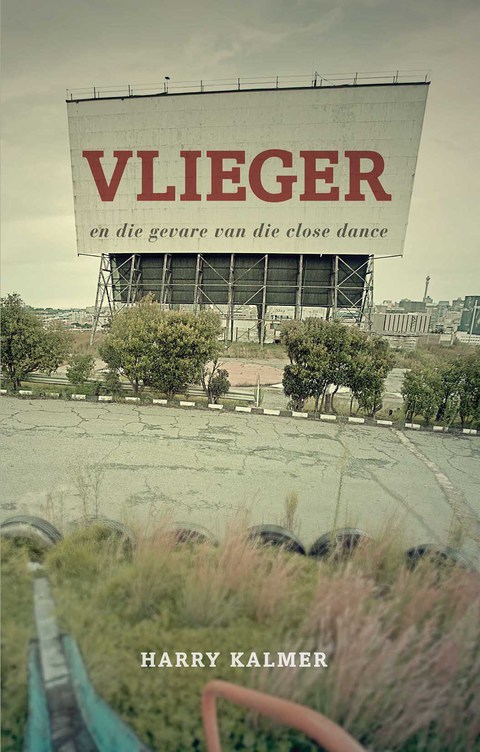 Cover image for book Vlieger