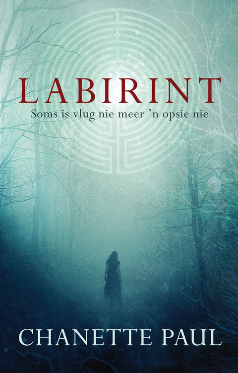 Cover image for book Labirint