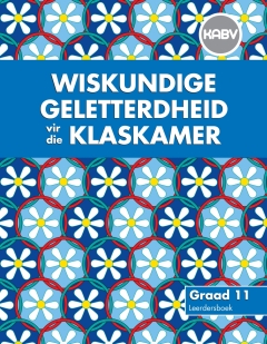 WISKUNDE GELETTERDHEID VIR DIE KLASKAMER GR 11 (LEERSDERSBOEK)