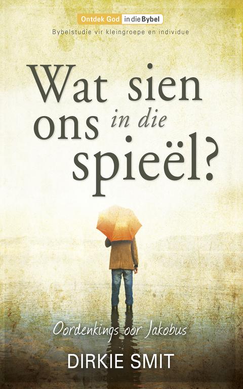 Cover image for book Wat sien ons in die spieël
