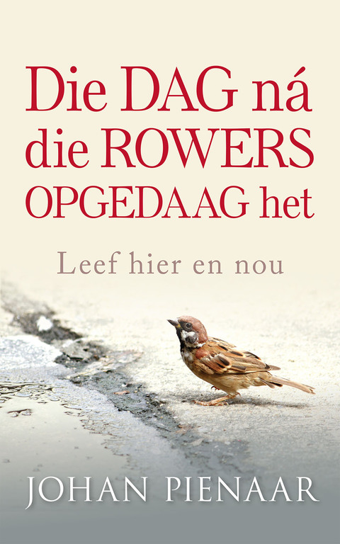 Cover image for book Die dag ná die rowers opgedaag het
