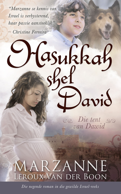 Cover image for book Israel-reeks 9: Hasukkah shel David