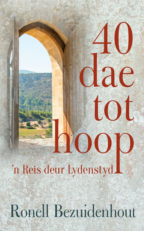 Cover image for book 40 dae tot hoop