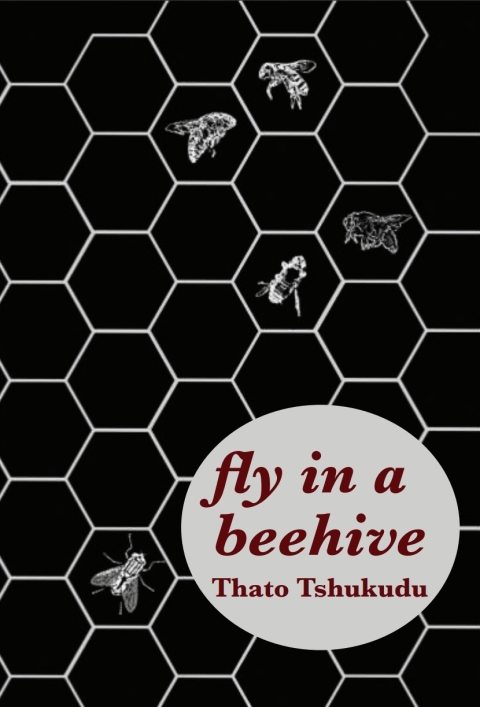 Cover image for book fly in a beehive