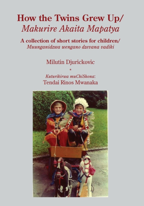 Cover image for book How the Twins Grew Up