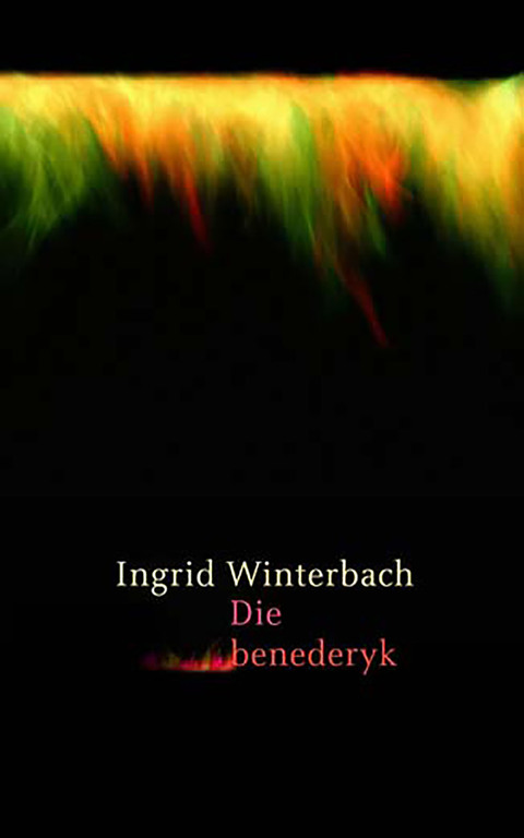 Cover image for book Die Benederyk