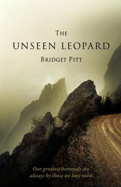 Cover image for book The Unseen Leopard