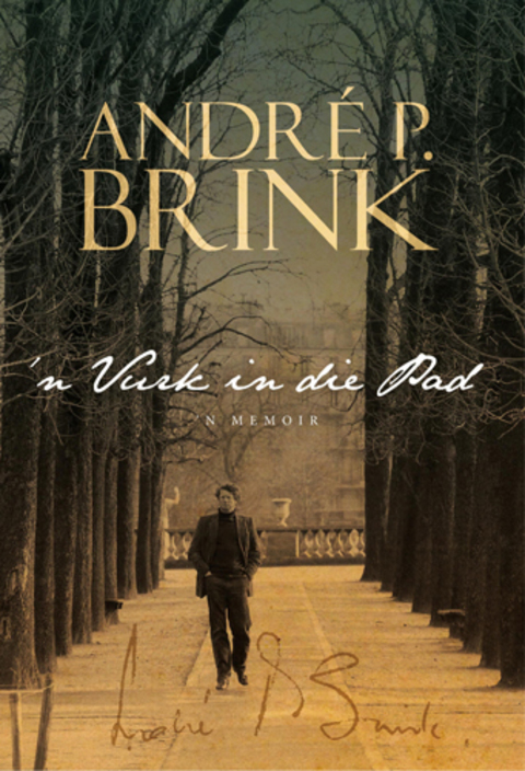 Cover image for book Vurk in die pad