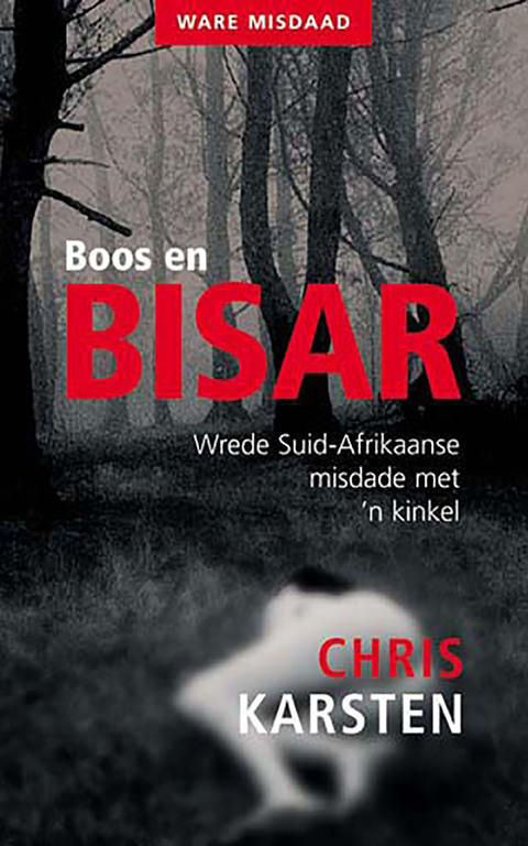 Cover image for book Boos en Bisar