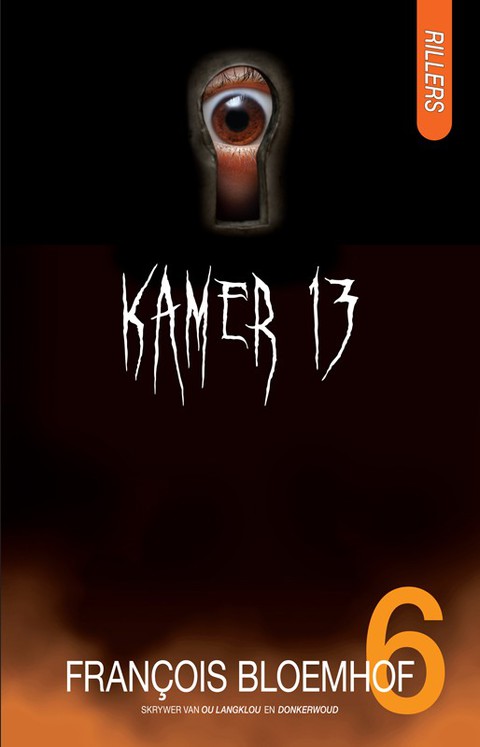 Cover image for book Rillers 6: Kamer 13