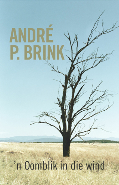 Cover image for book 'n Oomblik in die wind