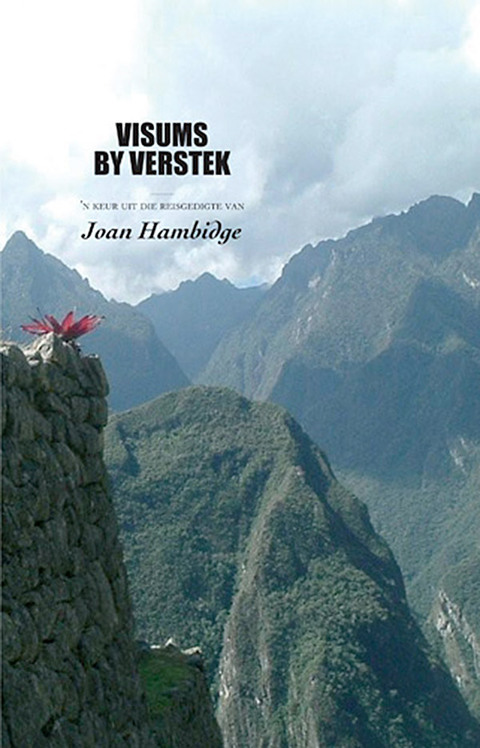 Cover image for book Visums by verstek