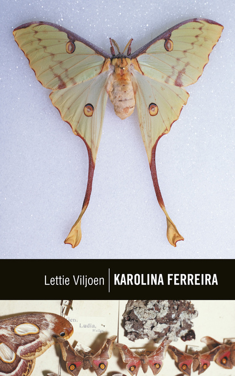Cover image for book Karolina Ferreira