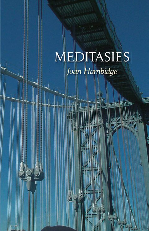 Cover image for book Meditasies