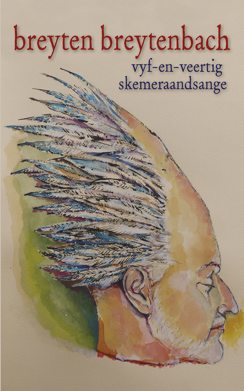 Cover image for book Vyf-en-veertig skemeraandsange