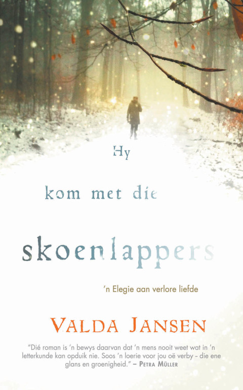 Cover image for book Hy kom met die skoenlappers