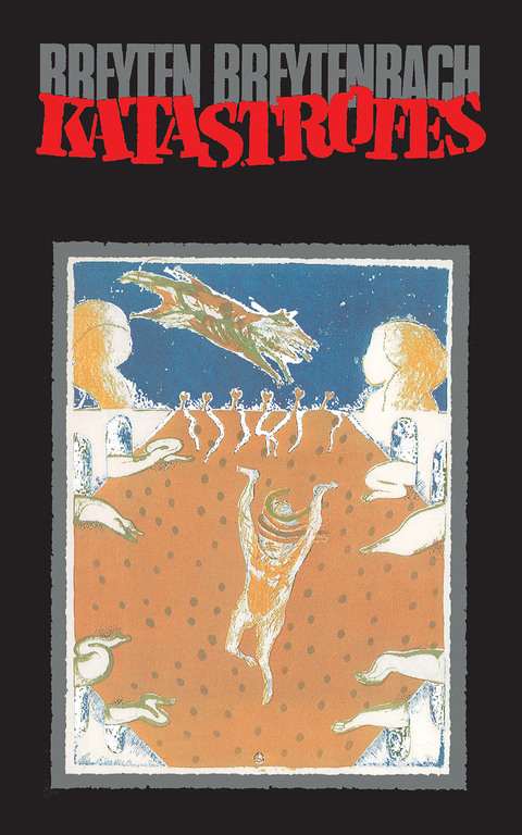 Cover image for book Katastrofes