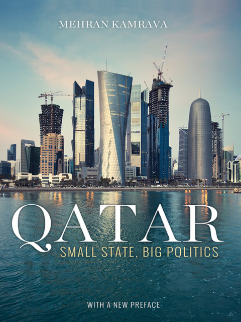 Cover image for book Qatar