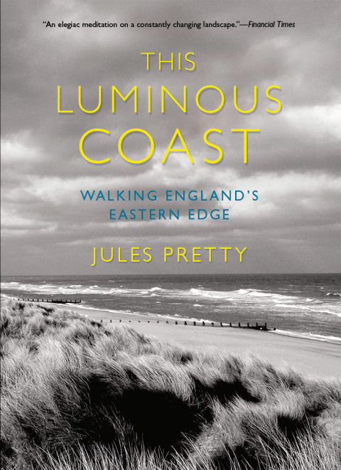 Cover image for book This Luminous Coast