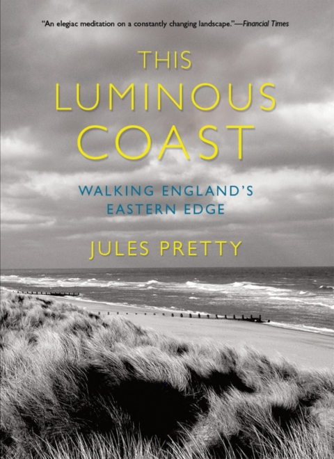 Cover image for book This Luminous Coast