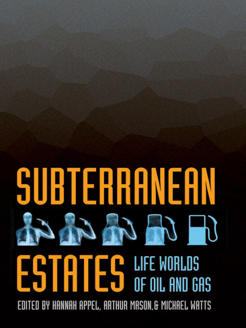 Cover image for book Subterranean Estates