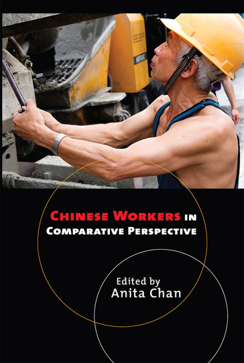 Cover image for book Chinese Workers in Comparative Perspective