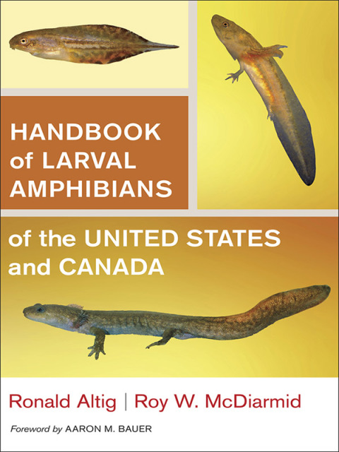 Cover image for book Handbook of Larval Amphibians of the United States and Canada