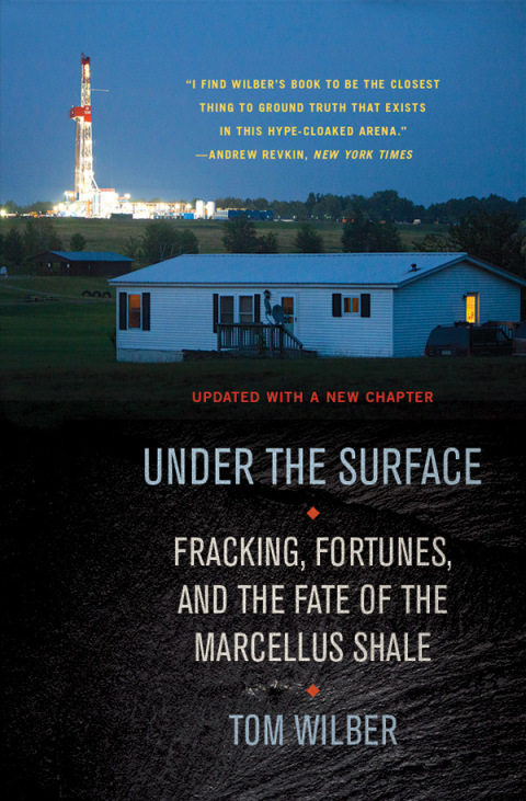 Cover image for book Under the Surface