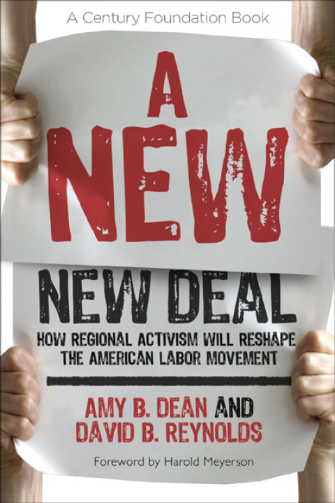 Cover image for book A New New Deal