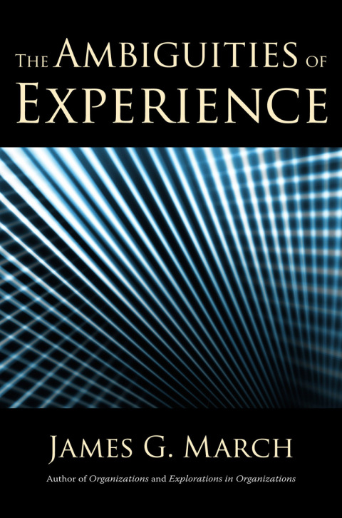 Cover image for book The Ambiguities of Experience