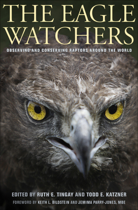 Cover image for book The Eagle Watchers
