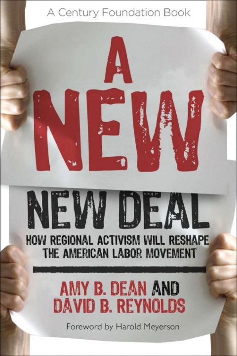 Cover image for book A New New Deal