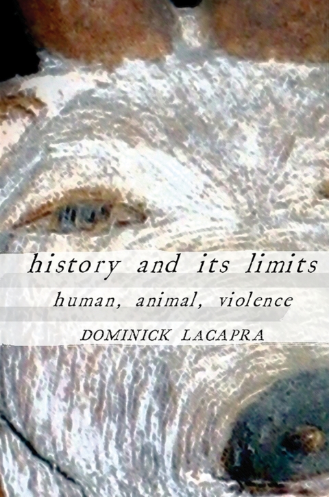 Cover image for book History and Its Limits