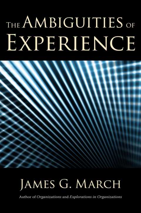 Cover image for book The Ambiguities of Experience