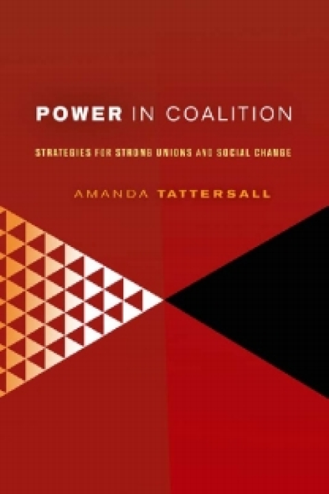 Cover image for book Power in Coalition
