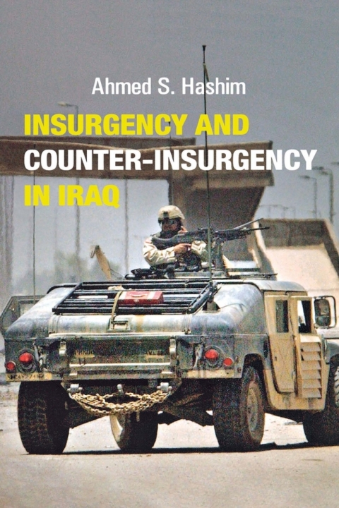Cover image for book Insurgency and Counter-Insurgency in Iraq