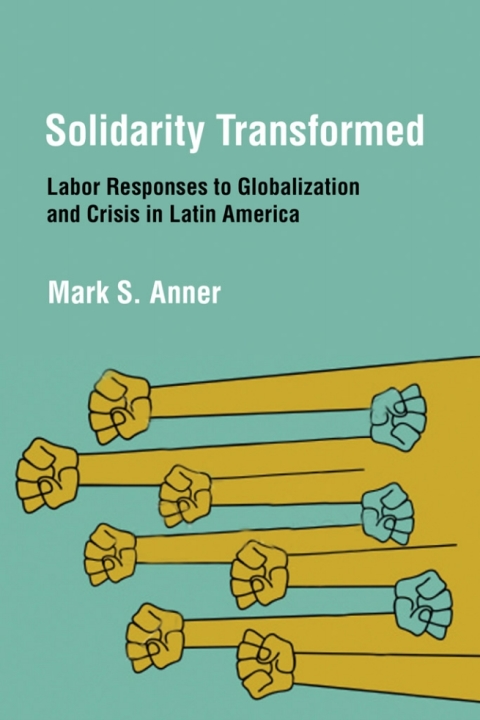 Cover image for book Solidarity Transformed