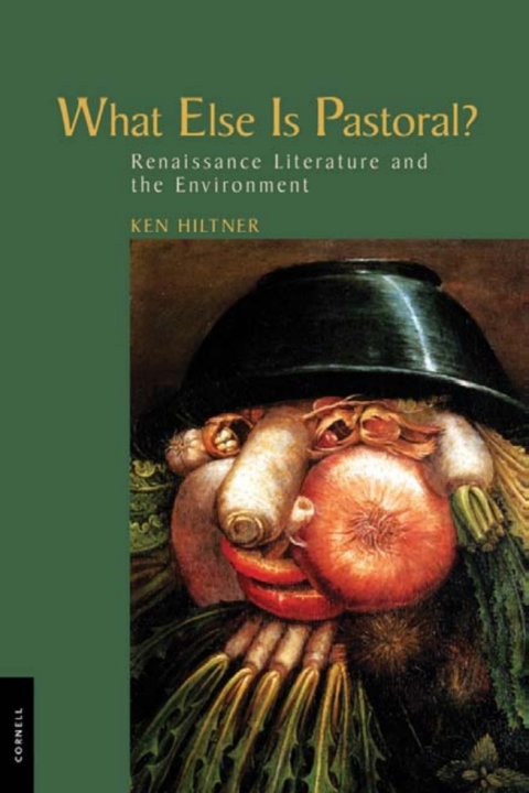Cover image for book What Else Is Pastoral?