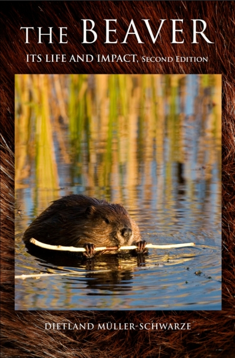 Cover image for book The Beaver